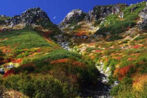 Herbstlaubfärbung am Mt.Ontake (3067m)