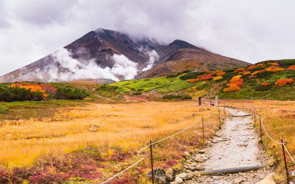 Panoramasicht auf die Herbstblätter der Alpenpflanzen auf dem Asahidake-Berg im Daisetsuzan-Nationalpark