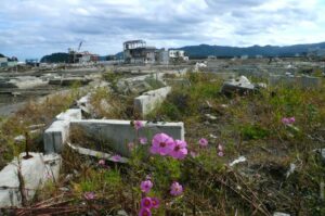 Ruinen der Stadt Minamisanriku nach der Großen Erdbebenkatastrophe Ost-Japans von 2011
